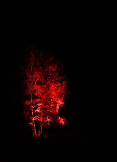 Red and black fire at night
